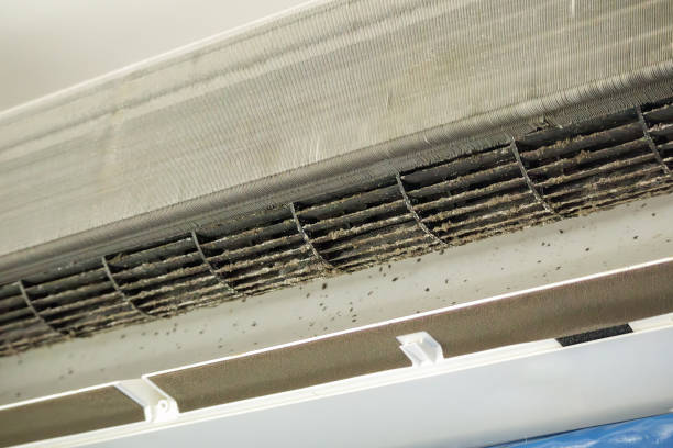 Best Air Duct Cleaning Near Me  in Laton, CA